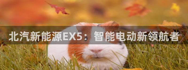 新宝gg创造奇迹平台