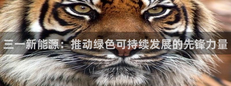 新宝GG绿色