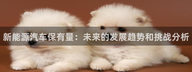 新宝gg官方下载