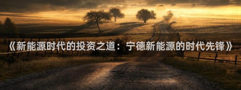 新宝gg招商致胜团队：《新能源时代的投资