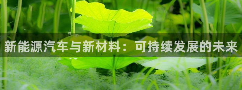 新宝GG创业奇迹：新能源汽车与新材料：可