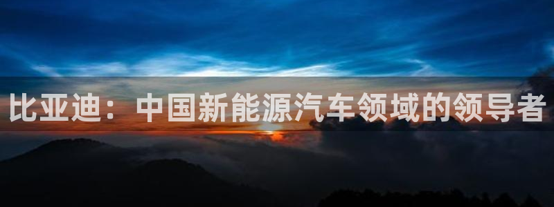 新宝gg公司