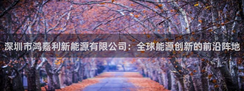 新宝gg 502:深圳市鸿嘉利新能源有限公司:全球能源创新的