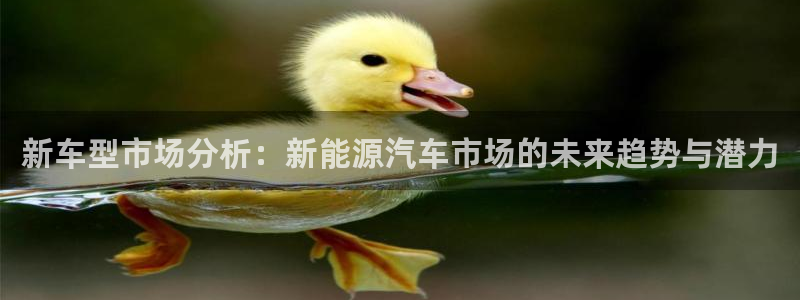 新宝GG无法充值