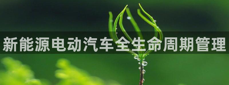 新宝gg申请账号:新能源电动汽车全生命周期管理