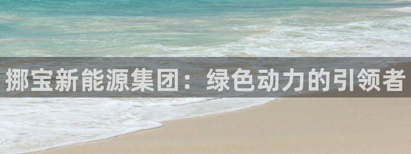 新宝Gg测速地址:挪宝新能源集团:绿色动力的引领者