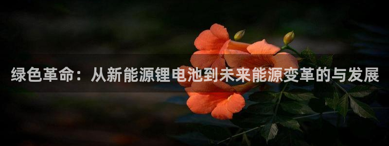 新宝GG询问29999:绿色革命:从新能源锂电池到未来能源变