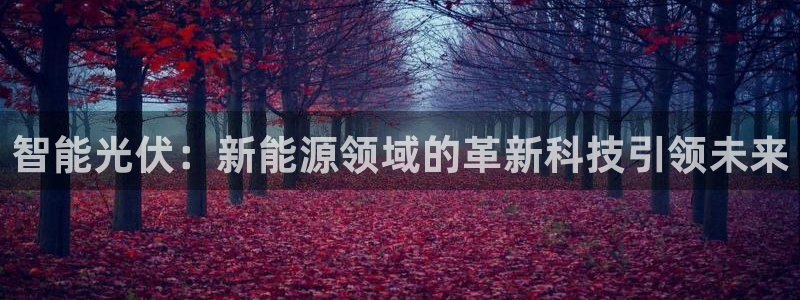 新宝 gg平台