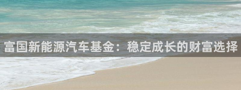 新宝Gg测速地址:富国新能源汽车基金:稳定成长的财富选择