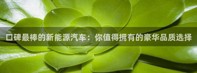 新宝gg开户