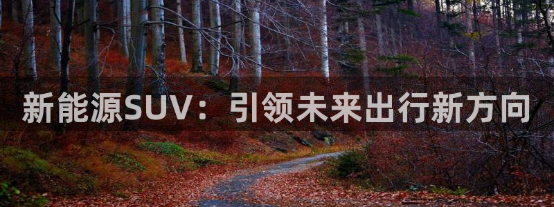 新宝gg下载官网下载