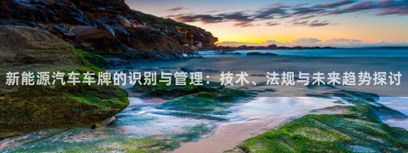 新宝gg计划