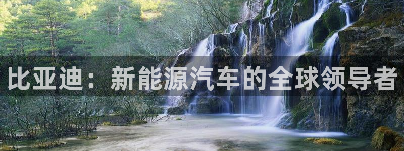 新宝_gg