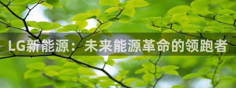 新宝gg如何注册:LG新能源:未来能源革命的领跑者