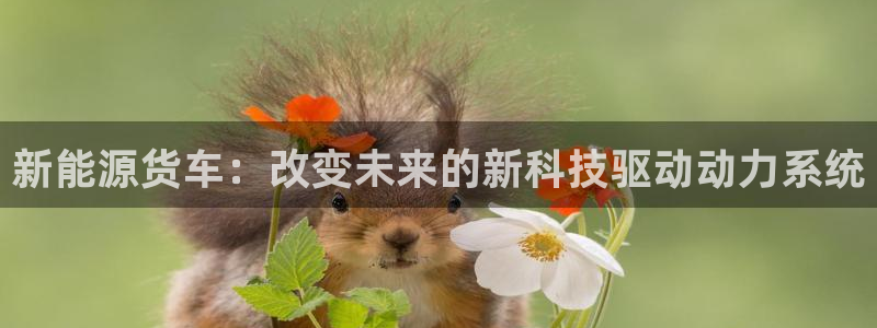 新宝gg作弊
