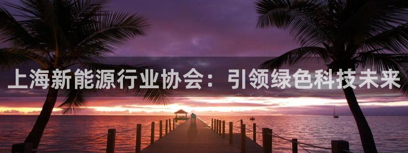 新宝gg招商致胜团队