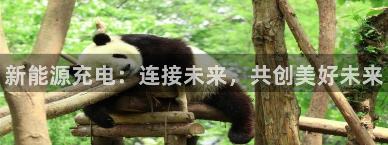 新宝gg 彩票:新能源充电:连接未来,共创美好未来