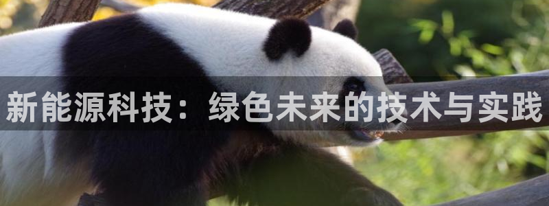 新宝给gg：新能源科技：绿色未来的技术与
