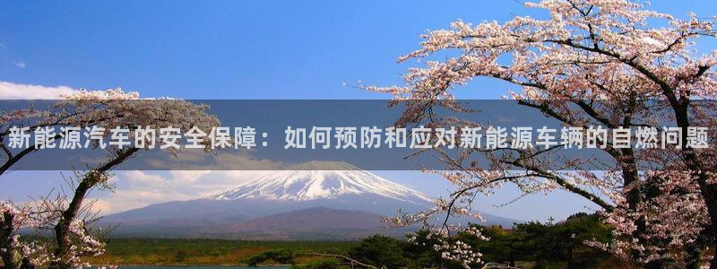 新宝gg主管：新能源汽车的安全保障：如何