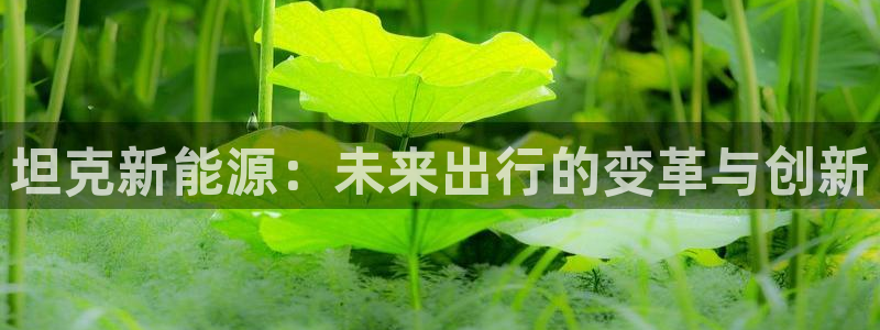 【新宝gg】:坦克新能源:未来出行的变革与创新