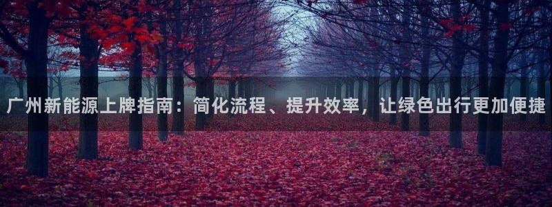 新宝gg一创造奇迹：广州新能源上牌指南：