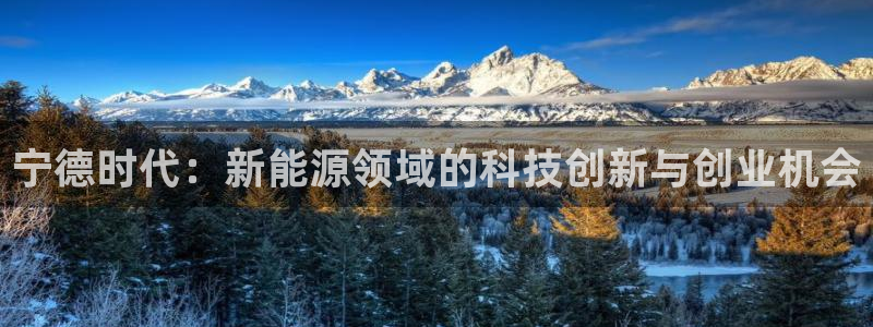 新宝gg官网登录找代理：宁德时代：新能源