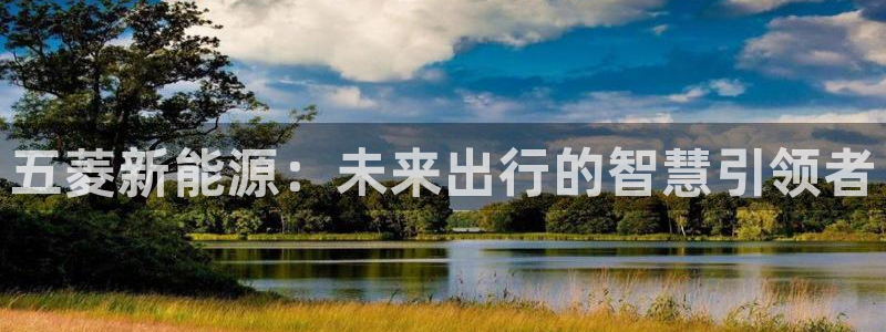 新宝GG链接:五菱新能源:未来出行的智慧引领者