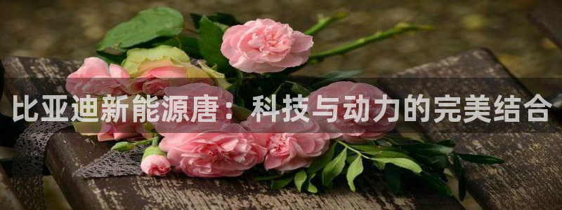 新宝gg正规：比亚迪新能源唐：科技与动力