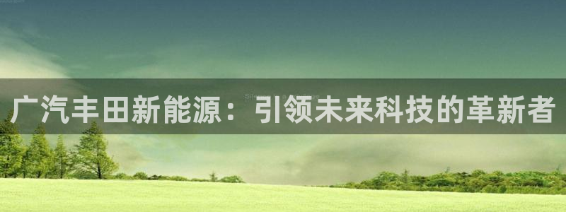 新宝gg娱乐怎么样：广汽丰田新能源：引领