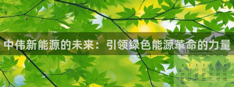新宝GG主管41333:中伟新能源的未来:引领绿色能源革命的