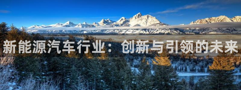 新宝GG程355051:新能源汽车行业:创新与引领的未来