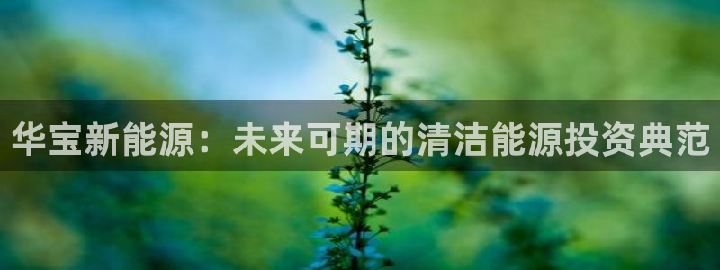 新宝gg — 创造!