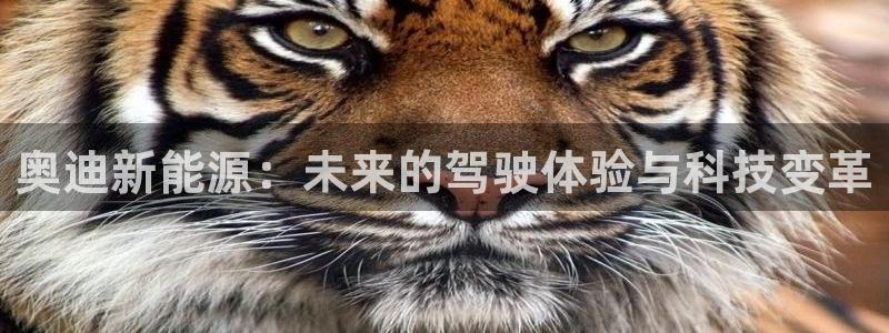 新宝gg登陆