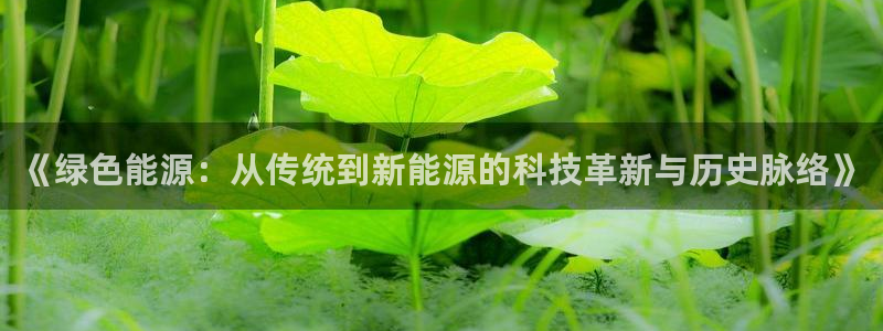 新宝gg吧
