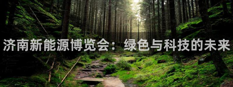 新宝gg信息