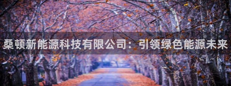 新宝gg总管