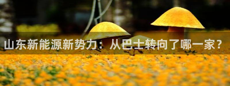 新宝gg客服电话