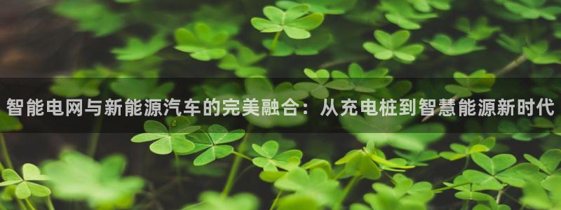 新宝gg创造奇迹