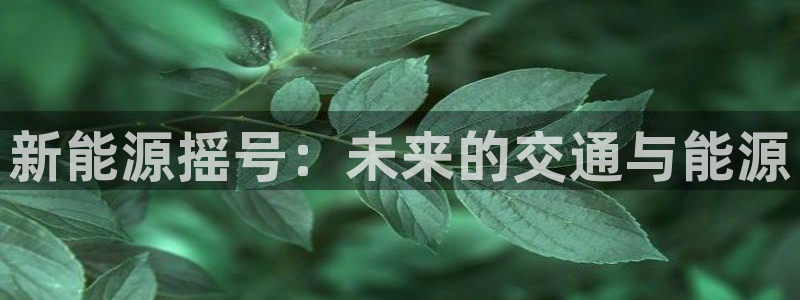 新宝gg主管48527