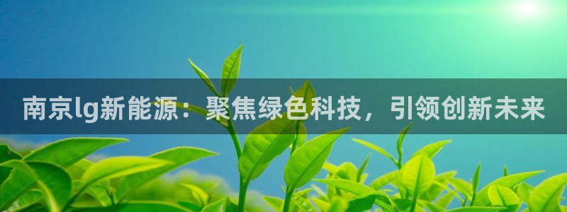 新宝gg注册登录网址：南京lg新能源：聚