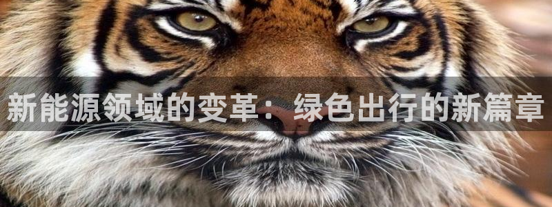 新宝gg开：新能源领域的变革：绿色出行的