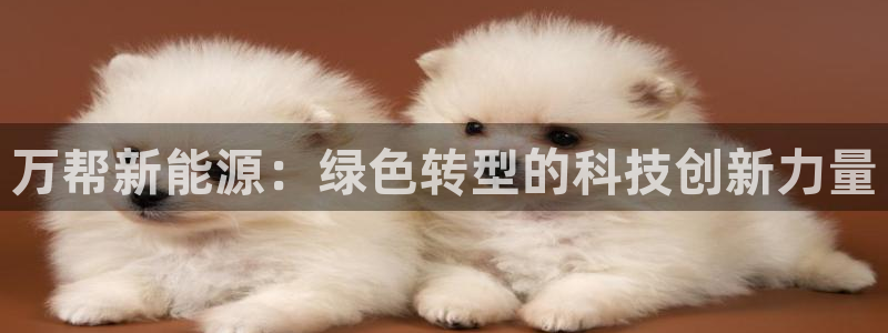 新gg宝：万帮新能源：绿色转型的科技创新