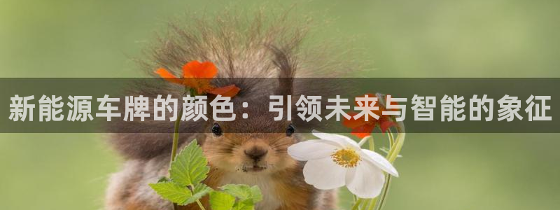 新宝gg娱乐登录地址:新能源车牌的颜色:引领未来与智能的象征