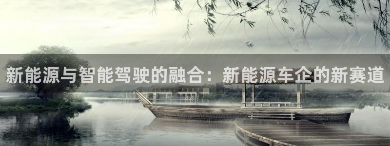 新宝gg官方:新能源与智能驾驶的融合:新能源车企的新赛道