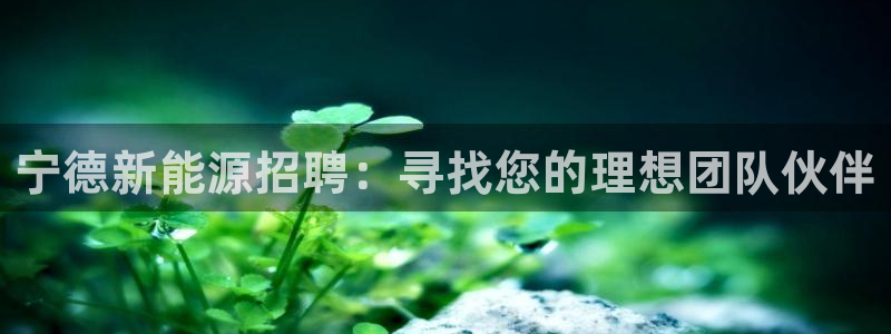 www.新宝gg:宁德新能源招聘:寻找您的理想团队伙伴