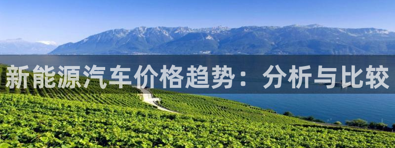 新宝gg手机版下载:新能源汽车价格趋势:分析与比较