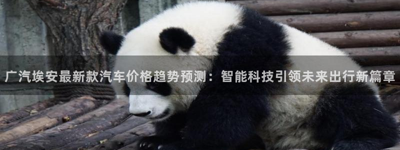 新宝gg注册q 26880:广汽埃安最新款汽车价格趋势预测: