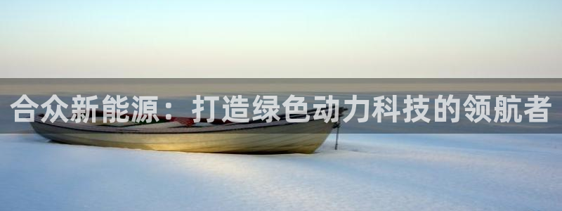 新宝gg注销：合众新能源：打造绿色动力科
