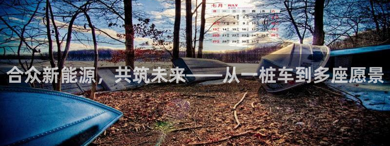 新宝GG氯78778：合众新能源，共筑未