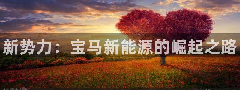 新宝gg盈亏:新势力:宝马新能源的崛起之路
